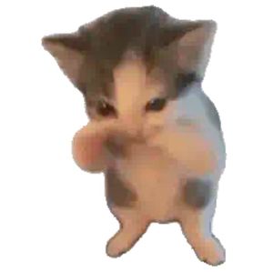 Ross Roy tweet media