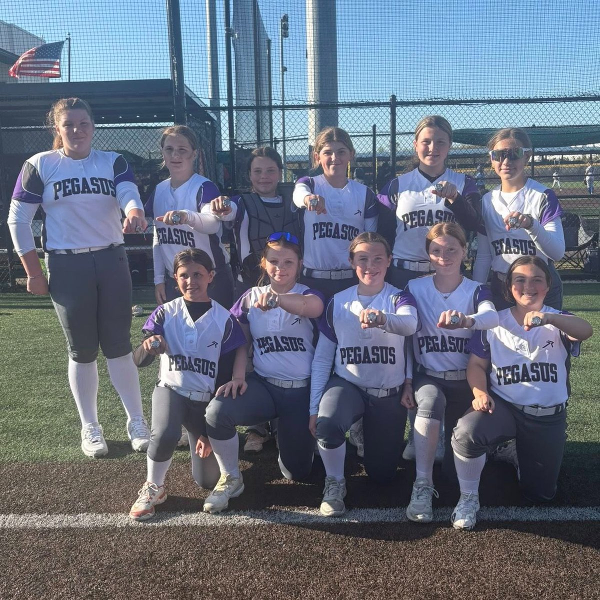 Pegasus Fastpitch tweet media