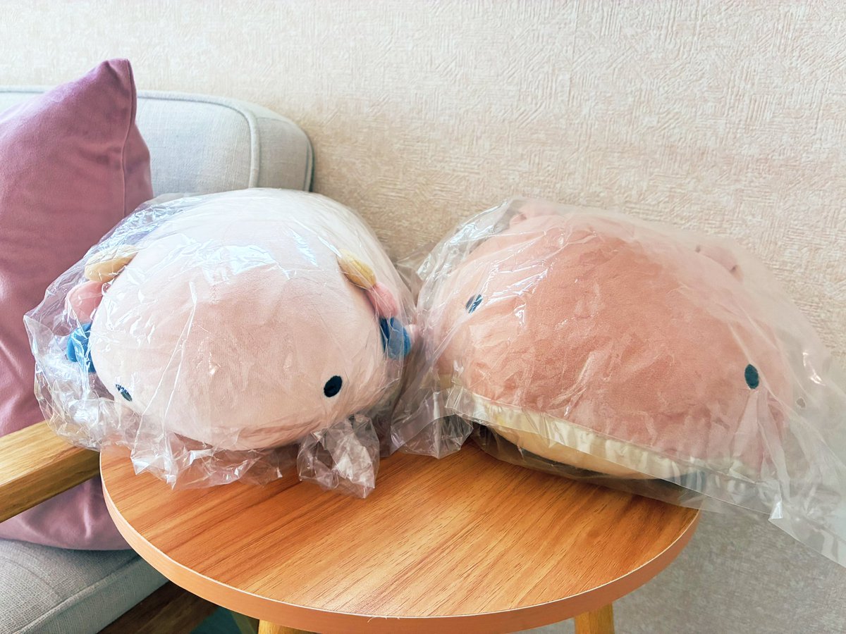 水瀬雫💧Minase Shizuku ̖́- tweet media