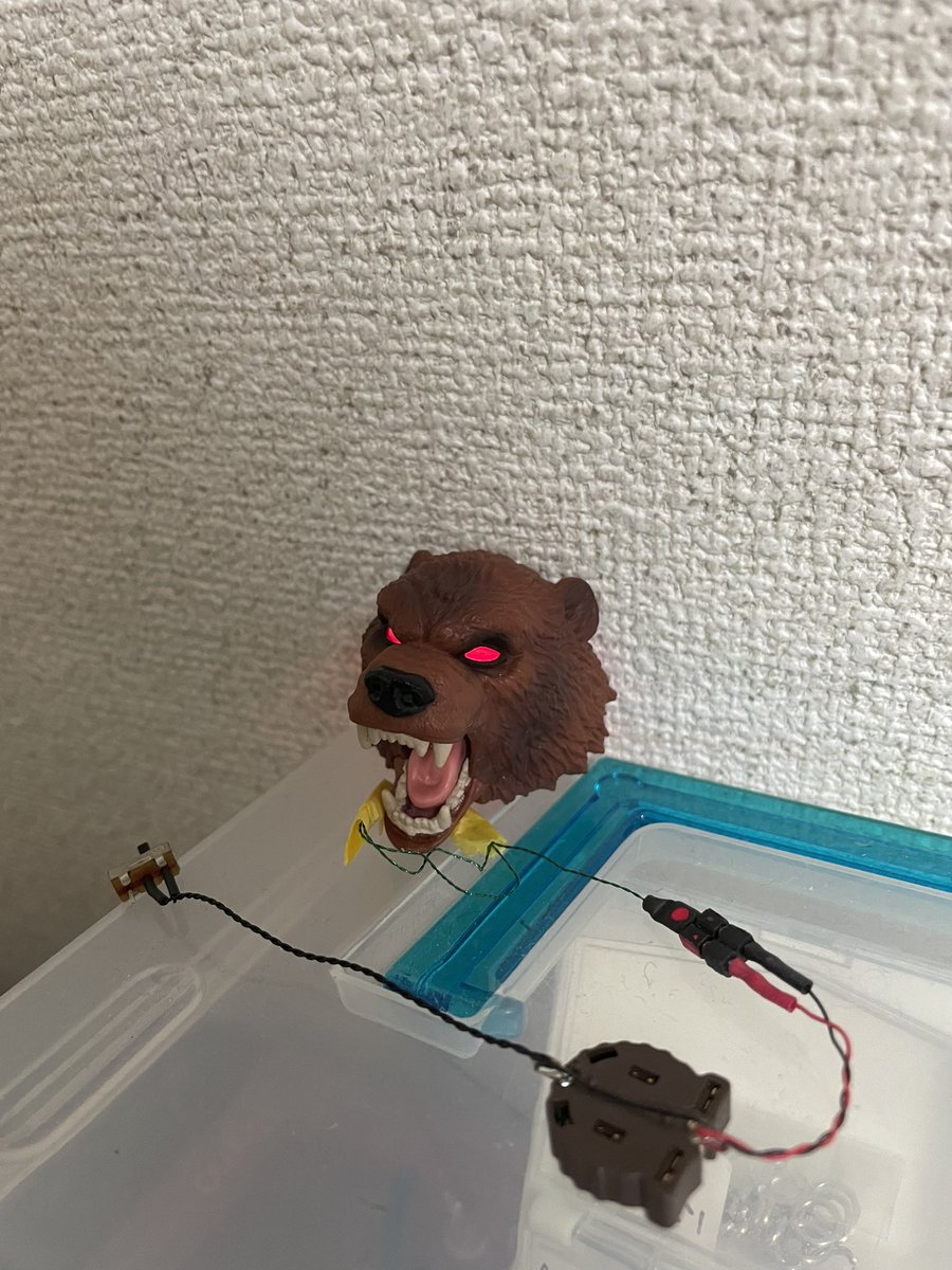 ヤシ tweet media