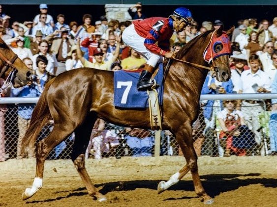 blindadosalas1's tweet photo. #Hipismo El 27/04/1978 ALYDAR 🇺🇸 fue muy superior a sus rivales en el #BlueGrassStakes con JORGE VELÁSQUEZ 🇵🇦 en la silla. La historia lo recordará como el archirrival de AFFIRMED que en toda la #TripleCorona de ese año le llegó 2º. Último gran caballo del viejo #CalumetFarm https://t.co/uqE26vPC6d