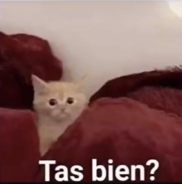 Danielaaa tweet media