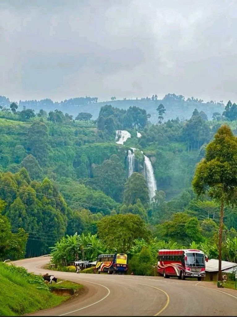 akasu5598's tweet image. Good morning from Uganda the pearl of Africa 
#VisitUganda
#ExploreUganda