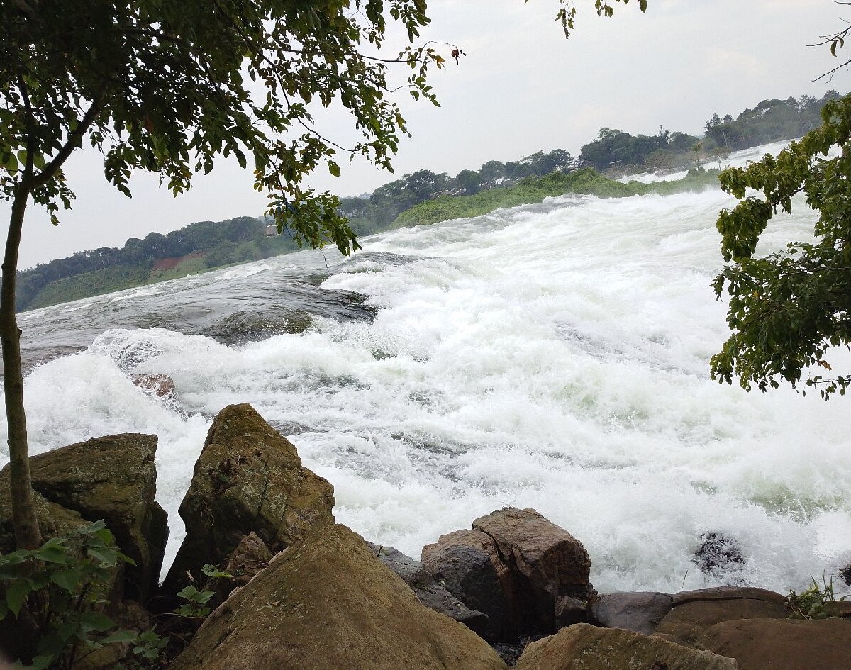 akasu5598's tweet image. Good morning from Uganda the pearl of Africa 
#VisitUganda
#ExploreUganda