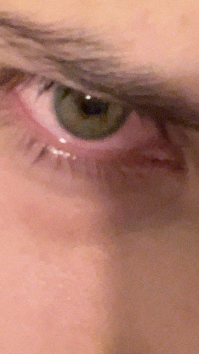 Boff el rojo con verde