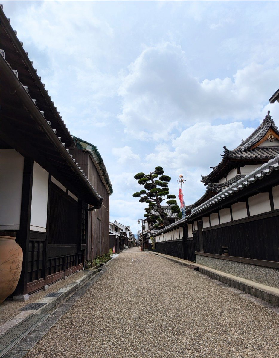 ネコのお世話係 tweet media