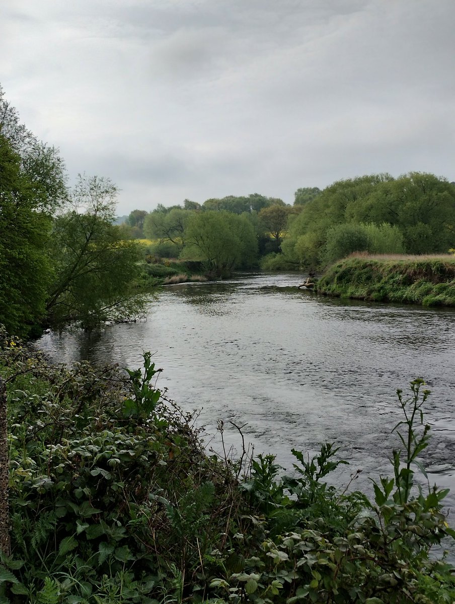 Christo70300025's tweet image. Goood morning twitter friends,#HappyMonday's,don't have a good day,have a great day 😊💚🌳🌲🌱⛰️🥾🚶‍♂️🏔📸🌞