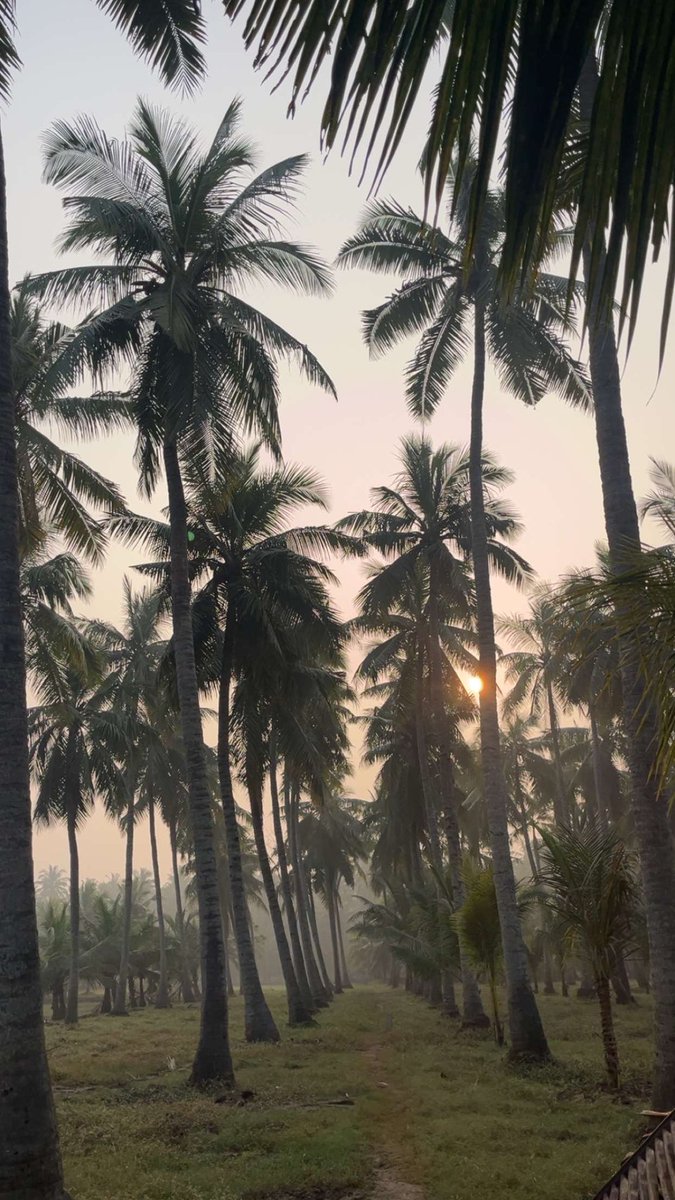 RamChandraOnX's tweet photo. Pleasant Mornings❤️ https://t.co/vN9iKfo1Je