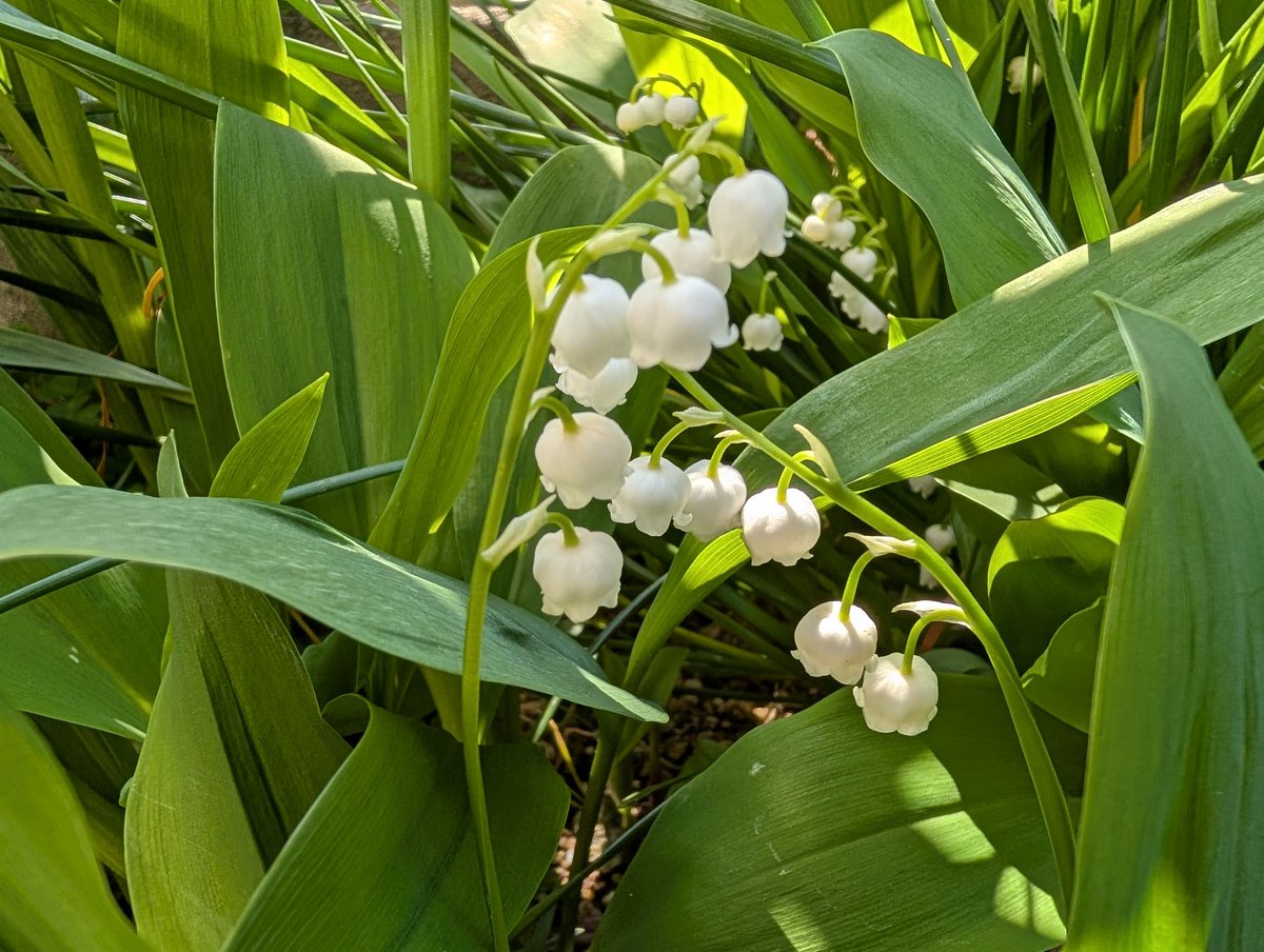 まりん🌊HN青漣(せいれん) tweet media