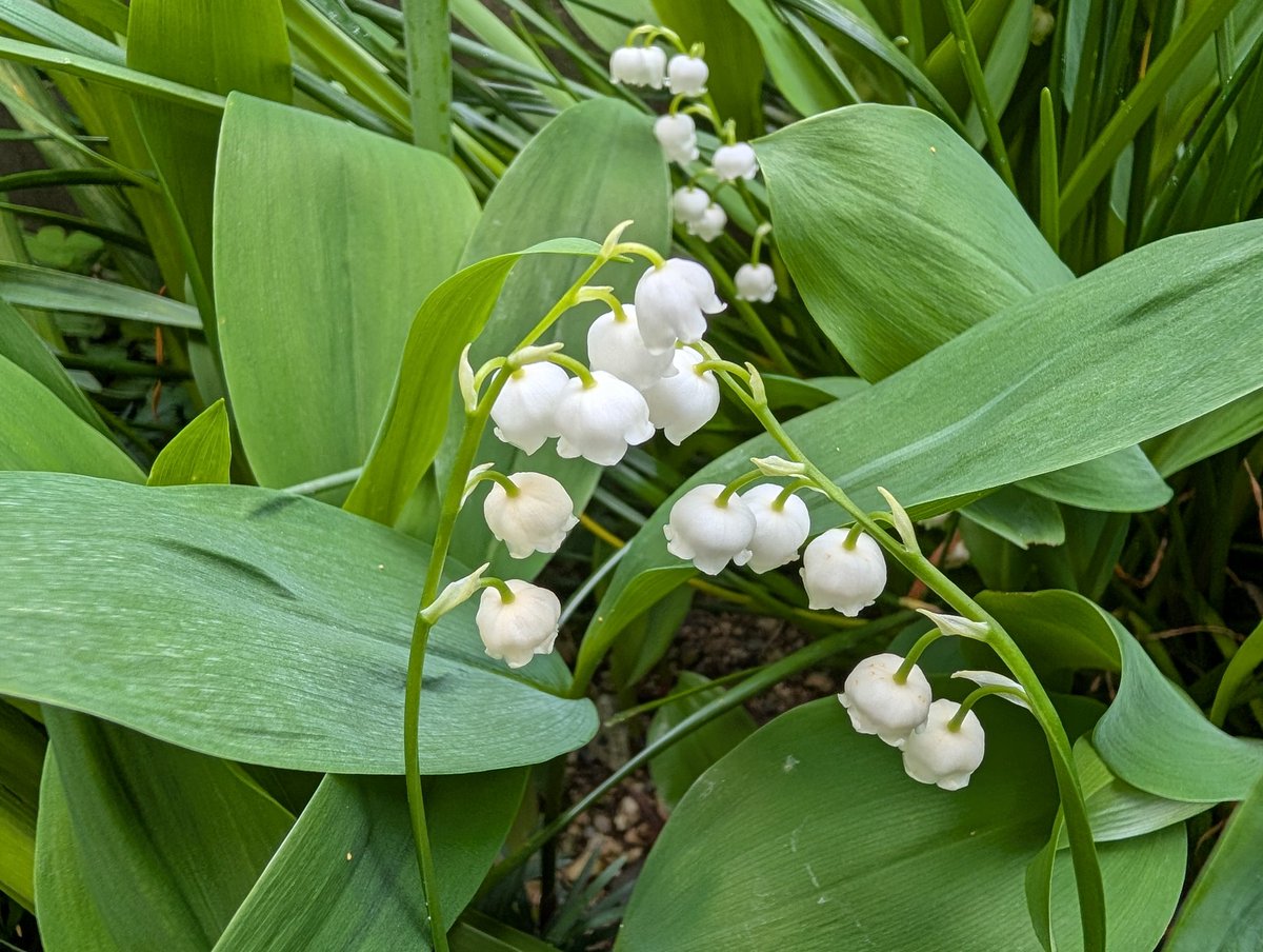 まりん🌊HN青漣(せいれん) tweet media