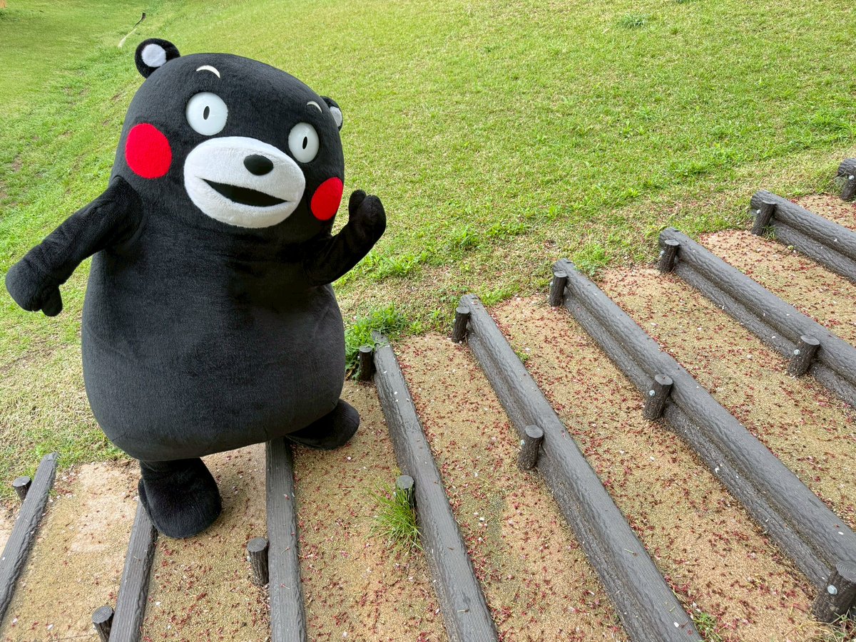 くまモン【公式】 tweet media