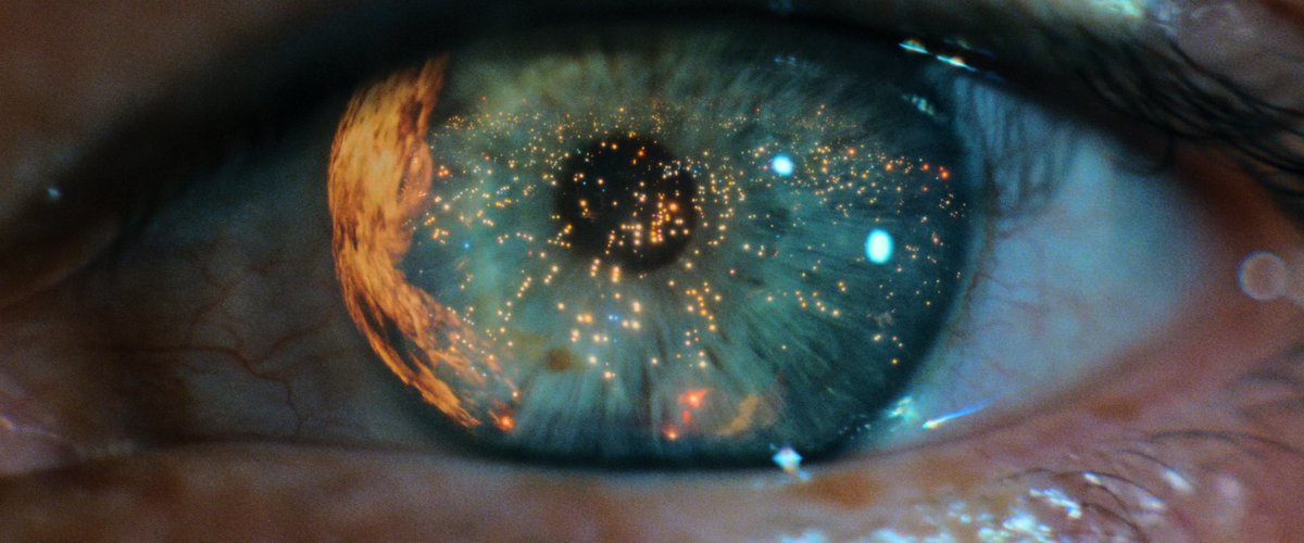 Cinema Perfect Shots tweet media