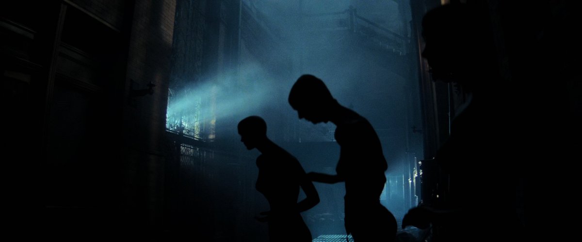 Cinema Perfect Shots tweet media