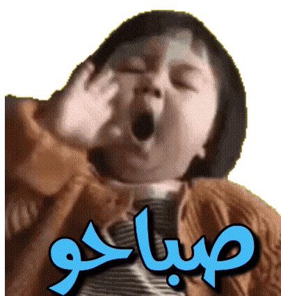 ســدن ✨ tweet media