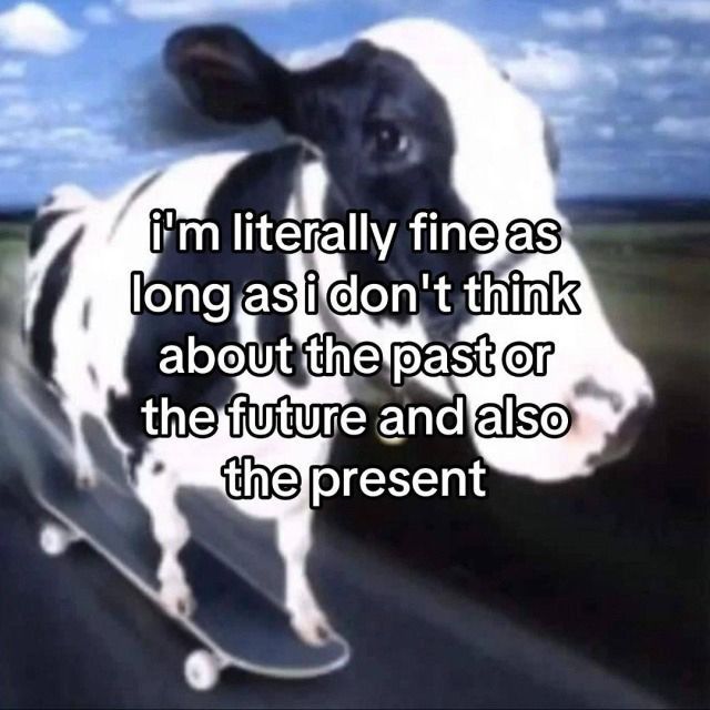 horse dentist tweet media