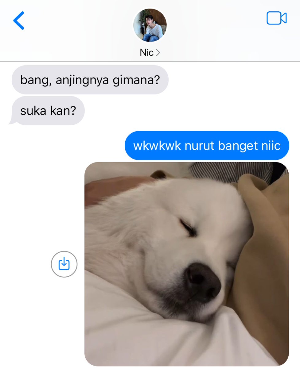 Fairy, Ketua Panitia. tweet media