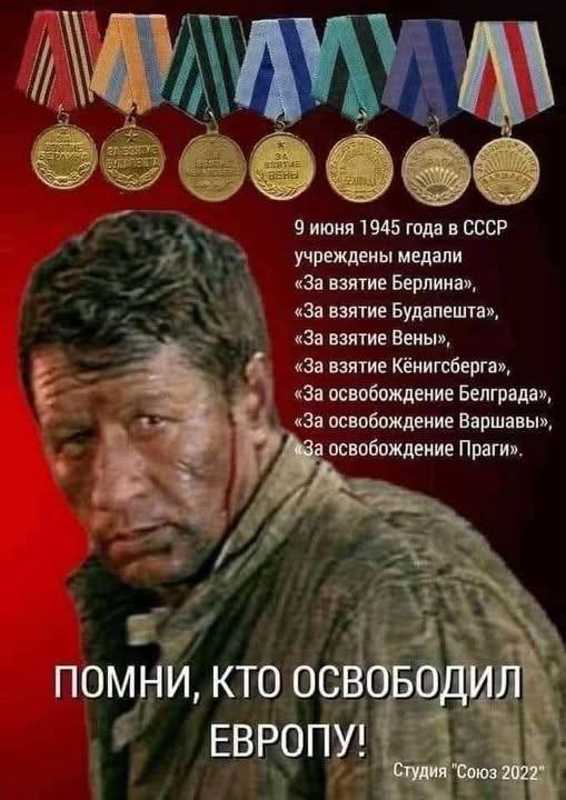 вано шаламов 8.0(მესხი) tweet media