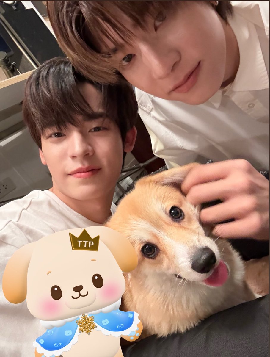 kai ❀ dwy tweet media