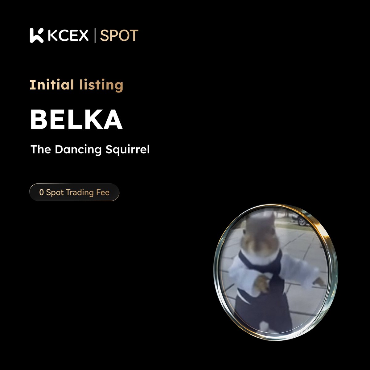 KCEX_Official's tweet image. #KCEX Initial Listing! 🎉 Enjoy zero fees on spot trading

$BELKA , a meme coin on #SOL chain, is now live on the KCEX Spot Market. @belka_sol

🔹 Deposits: Opened
🚀 BELKA/USDT Trading Starts: 2026-04-27 02:20 (UTC)
👉 Trading Now: kcex.com/exchange/BELKA…
🌐 Details: