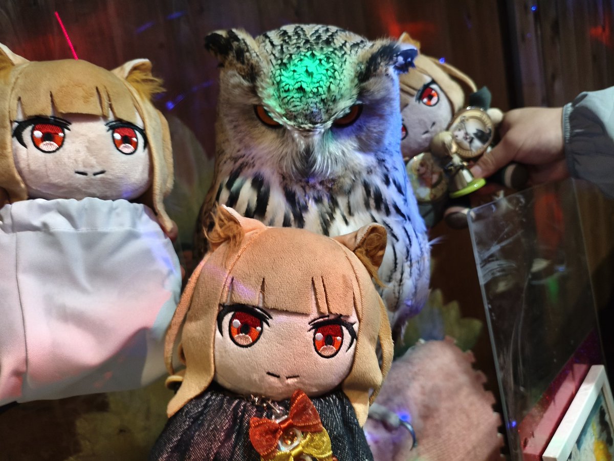 ぐーやん🍎🐺🎀 tweet media