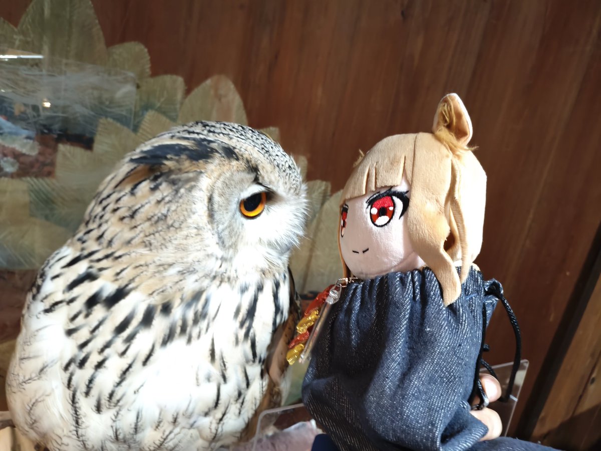 ぐーやん🍎🐺🎀 tweet media