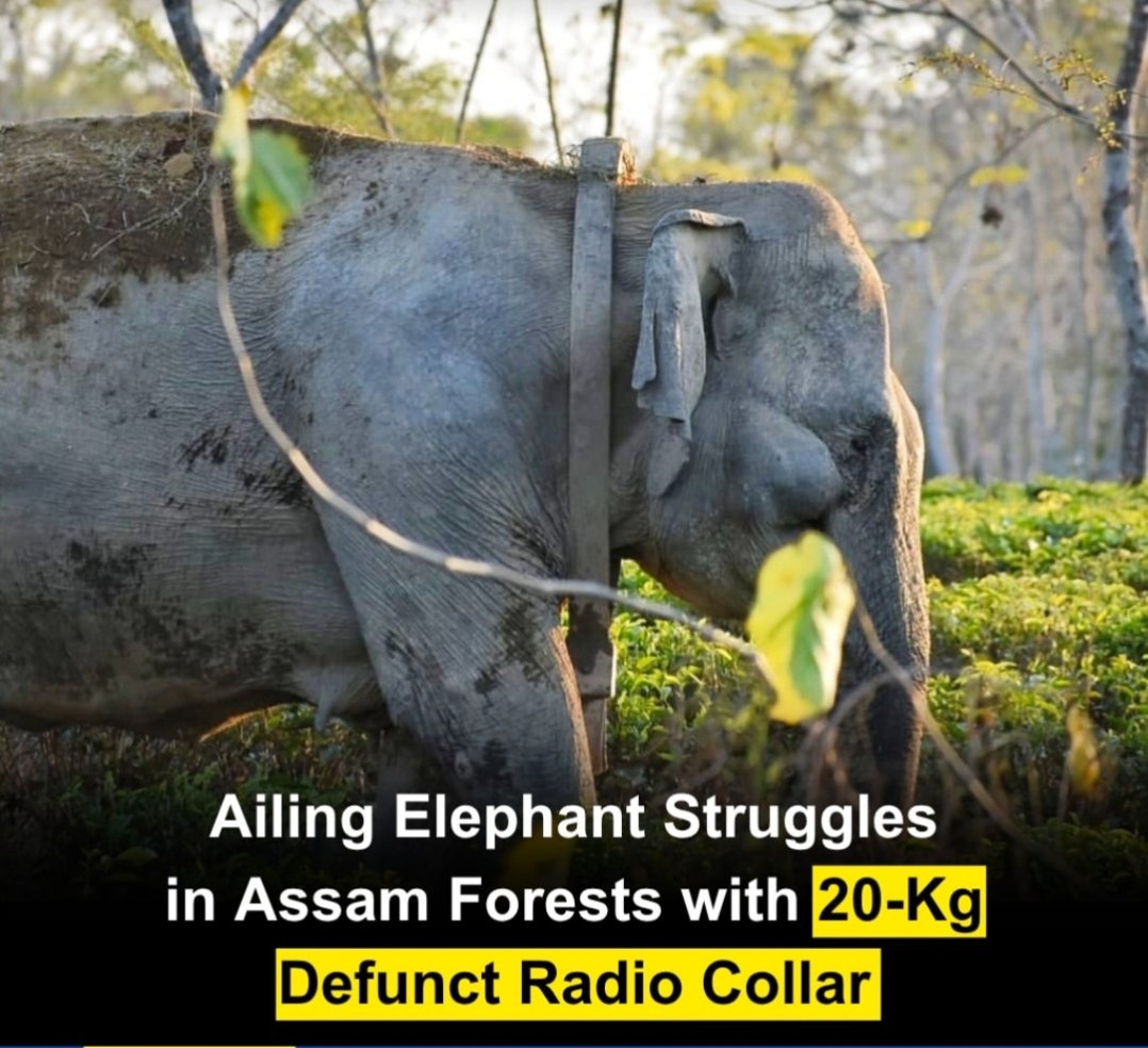 j.a.h.n.a.v.i._.i.y.e.r tweet media