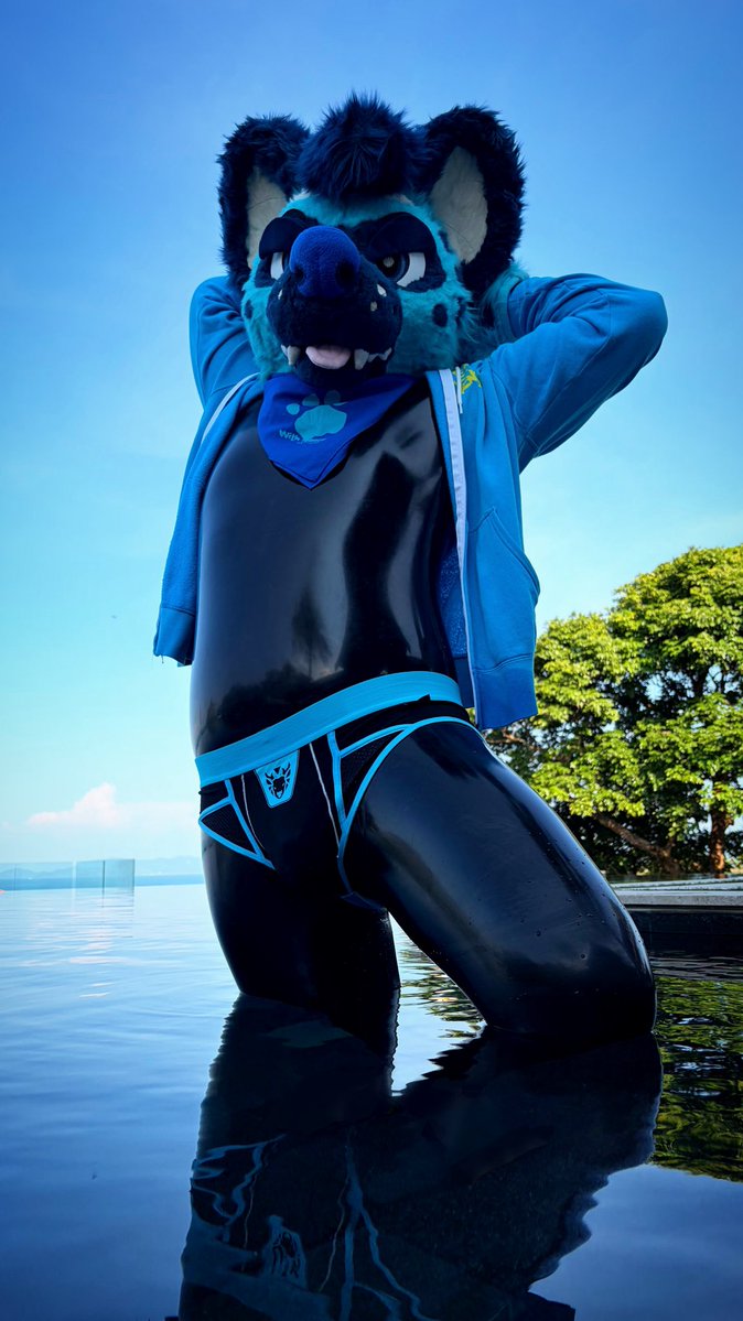 Aulder 🐾 🔜 Hi Furry tweet media