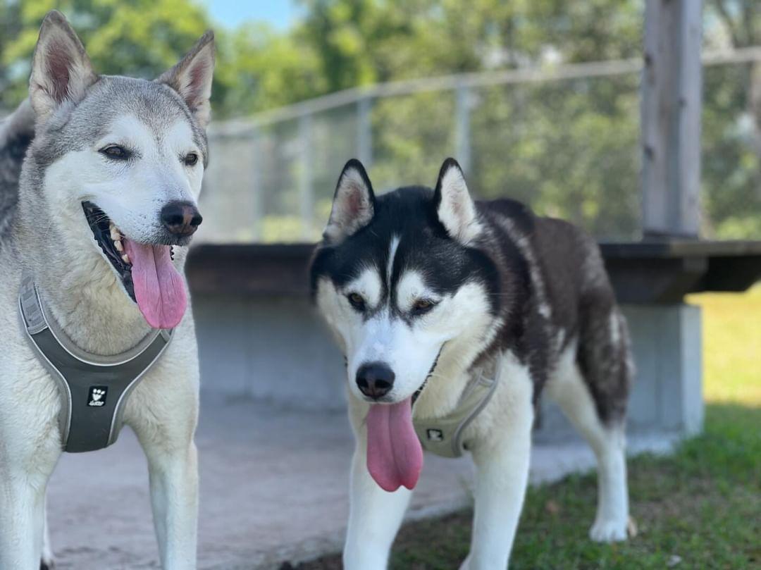 そらるぅⒸ♬ tweet media