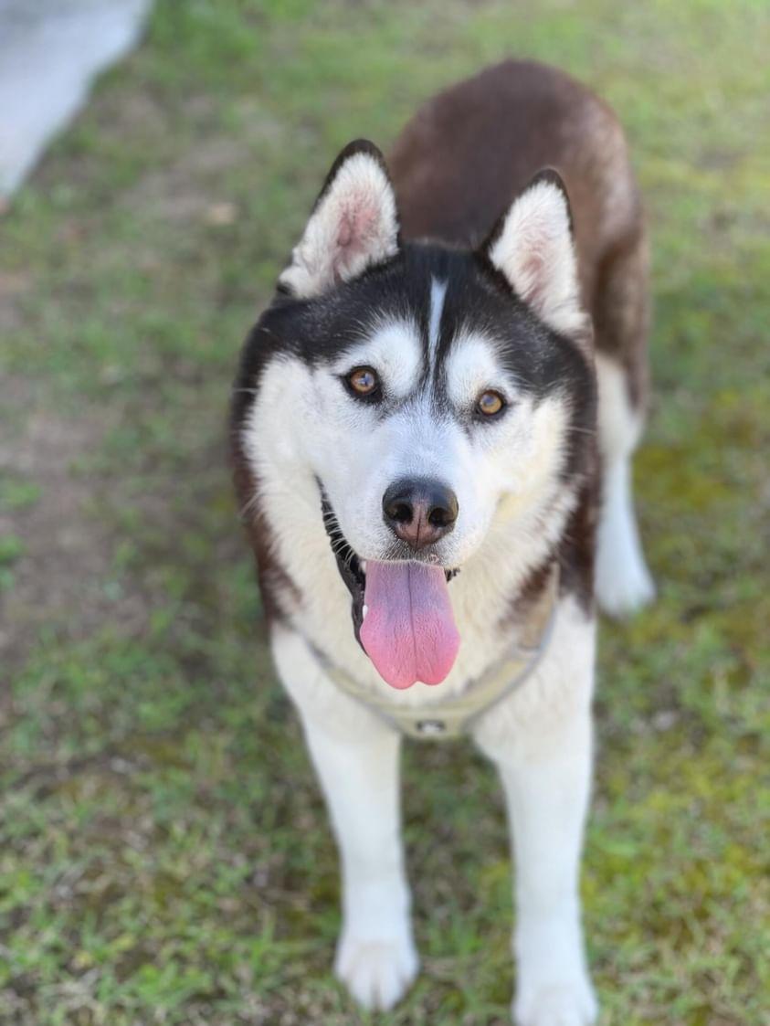 そらるぅⒸ♬ tweet media