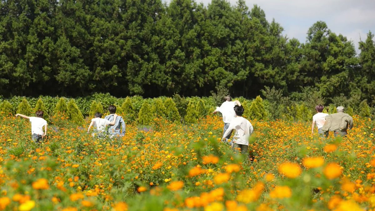 iceorbit 🐧 tweet media