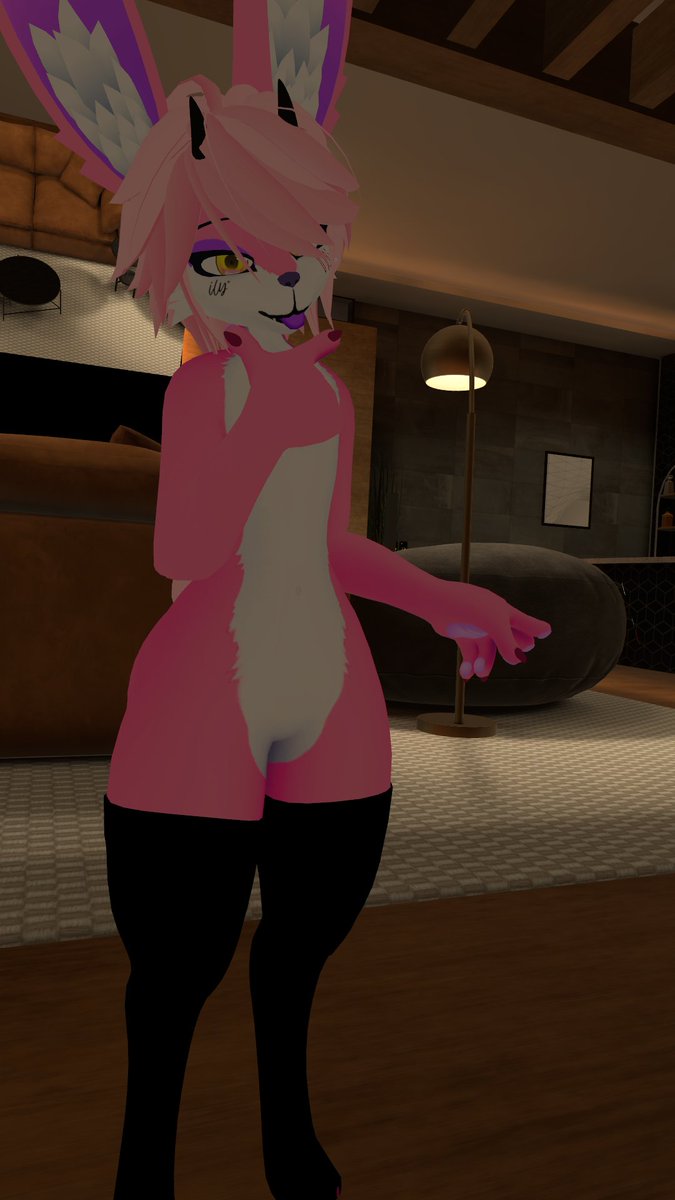 rocket bear tweet media