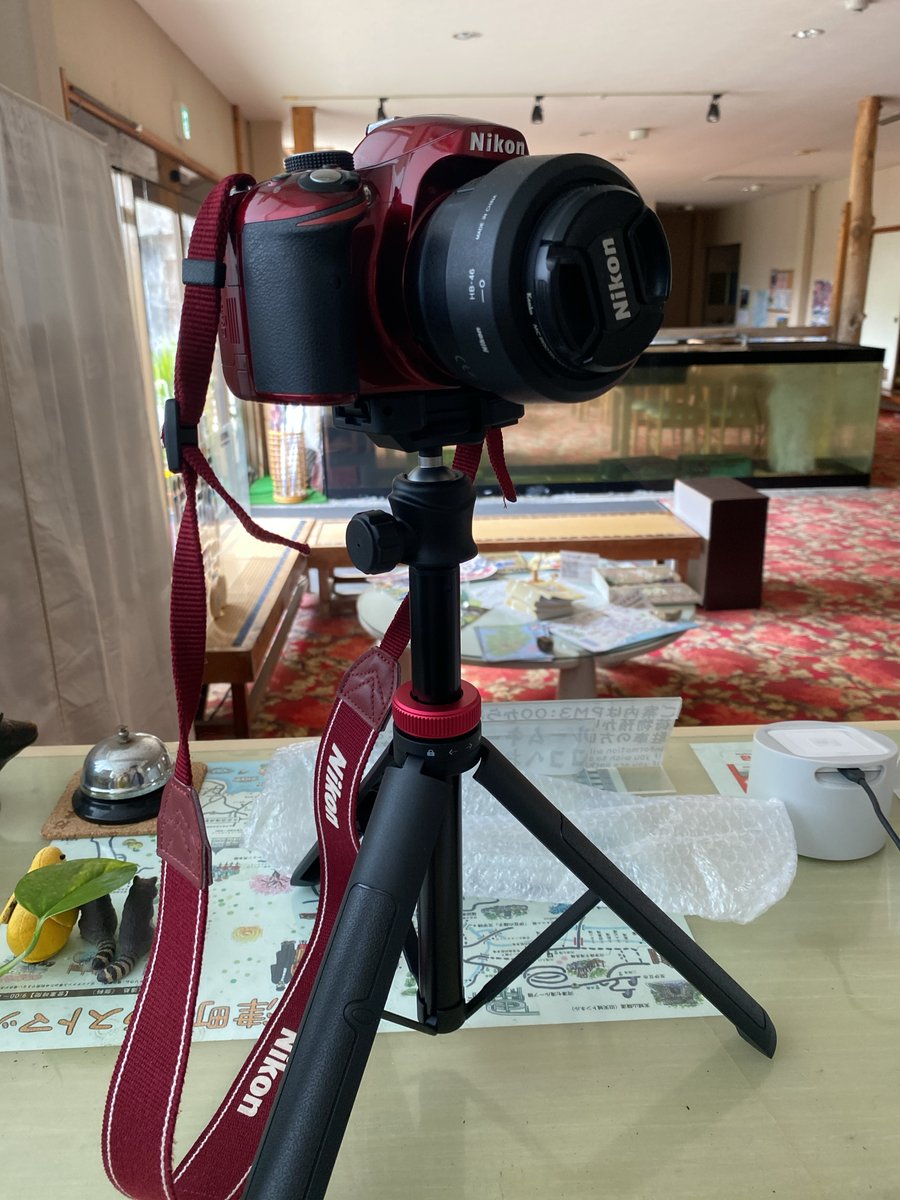 mateil レッドブラウン 1脚 037c7e735e.jpg