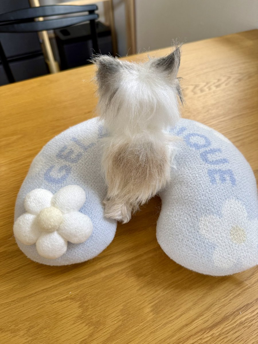 うちのこも作っていただきました！！かわいかろう…。まじで大島さんにご依頼して良かったです！！おすすめです🙌