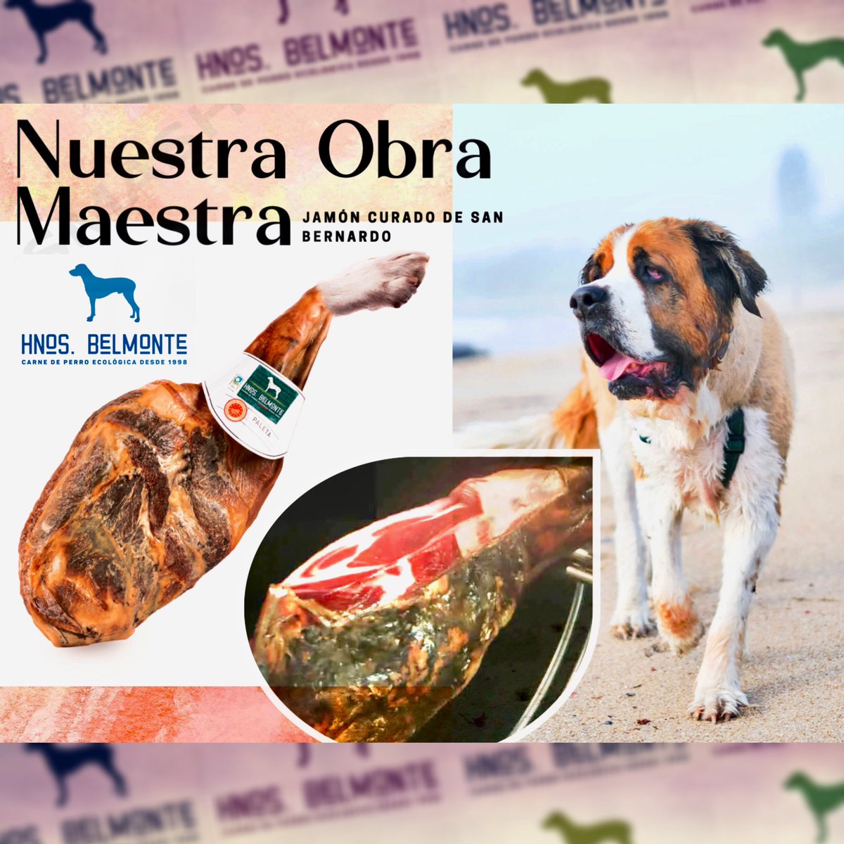 Belmonte Carne Ecológica de Perro tweet media