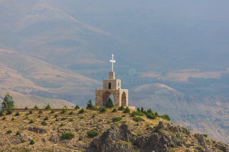 Mario Dayba tweet media