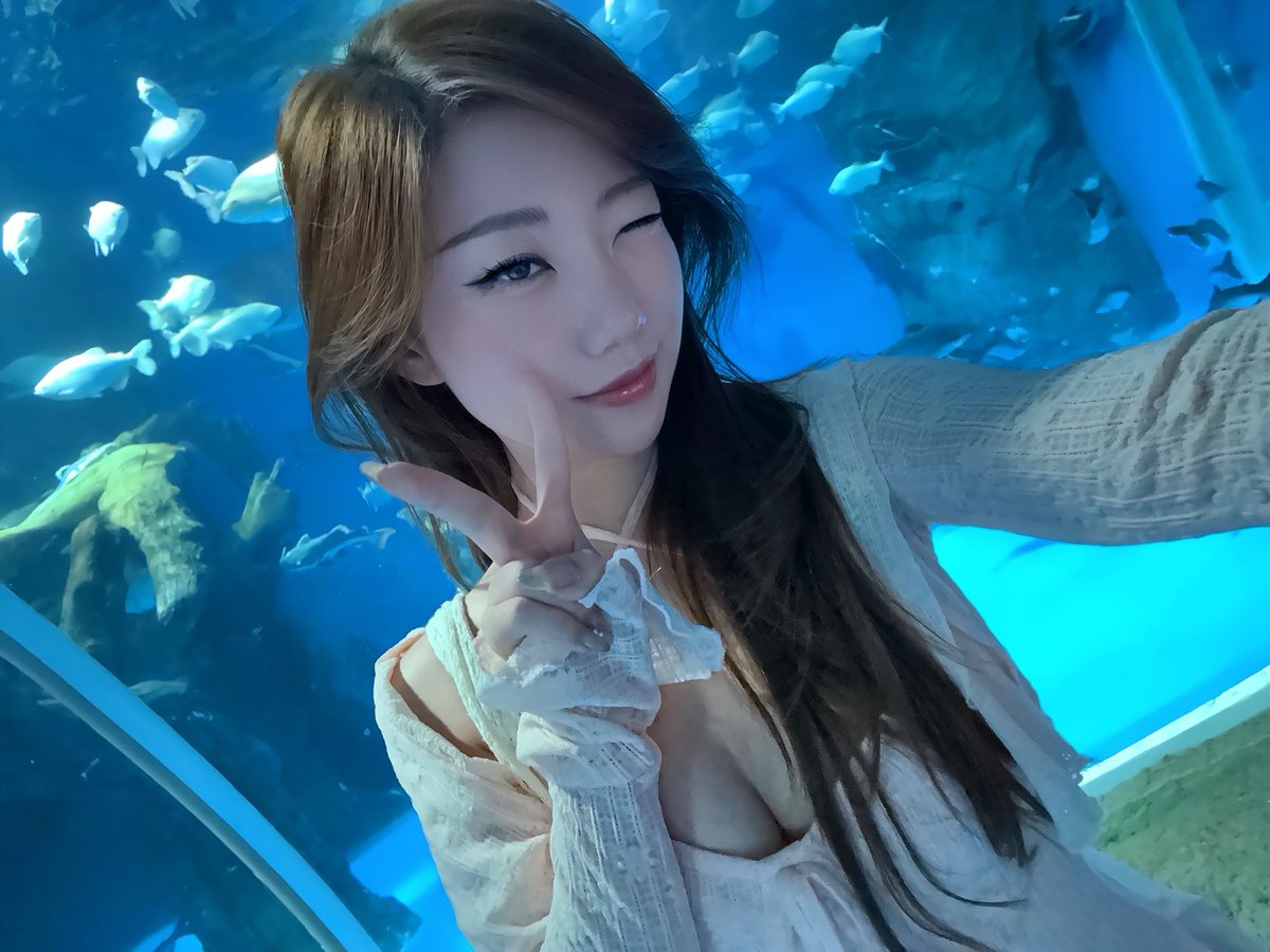 𝓐𝓷𝓰𝓮𝓵𝓪 周悦 (˶ˆ꒳ˆ˶)✿ tweet media