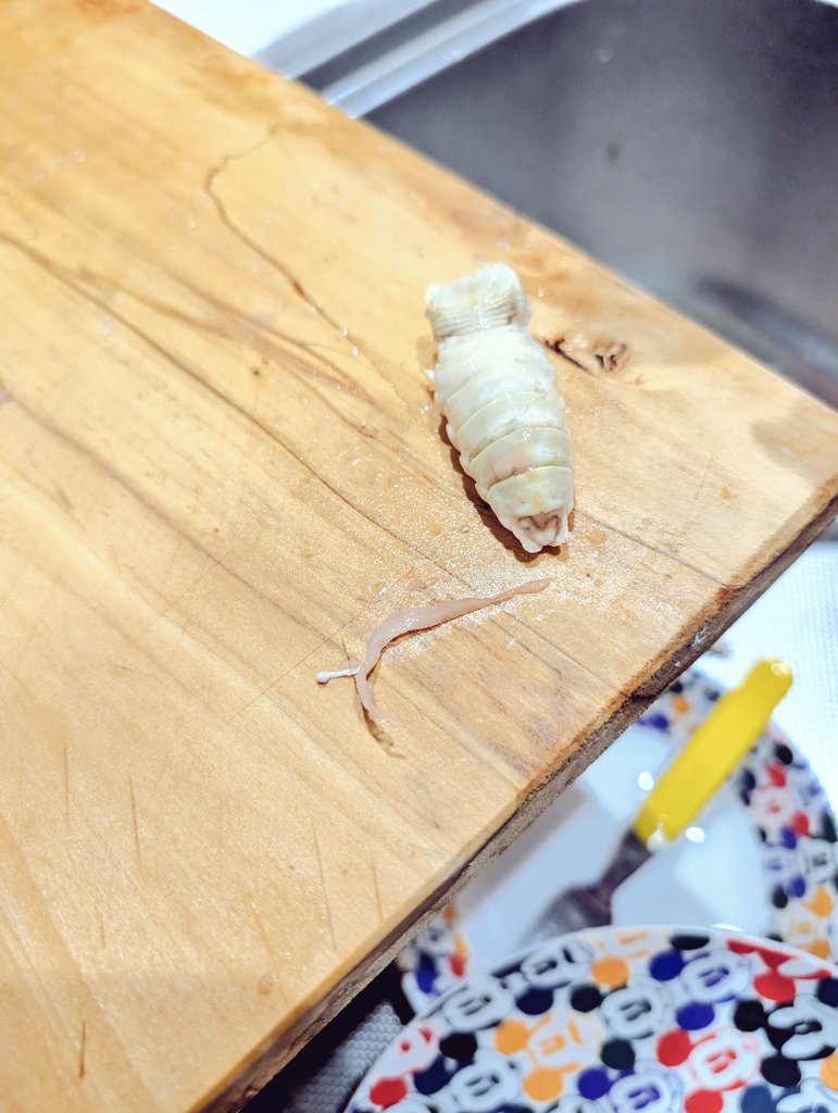 とりもちʚ・▴・ɞ tweet media