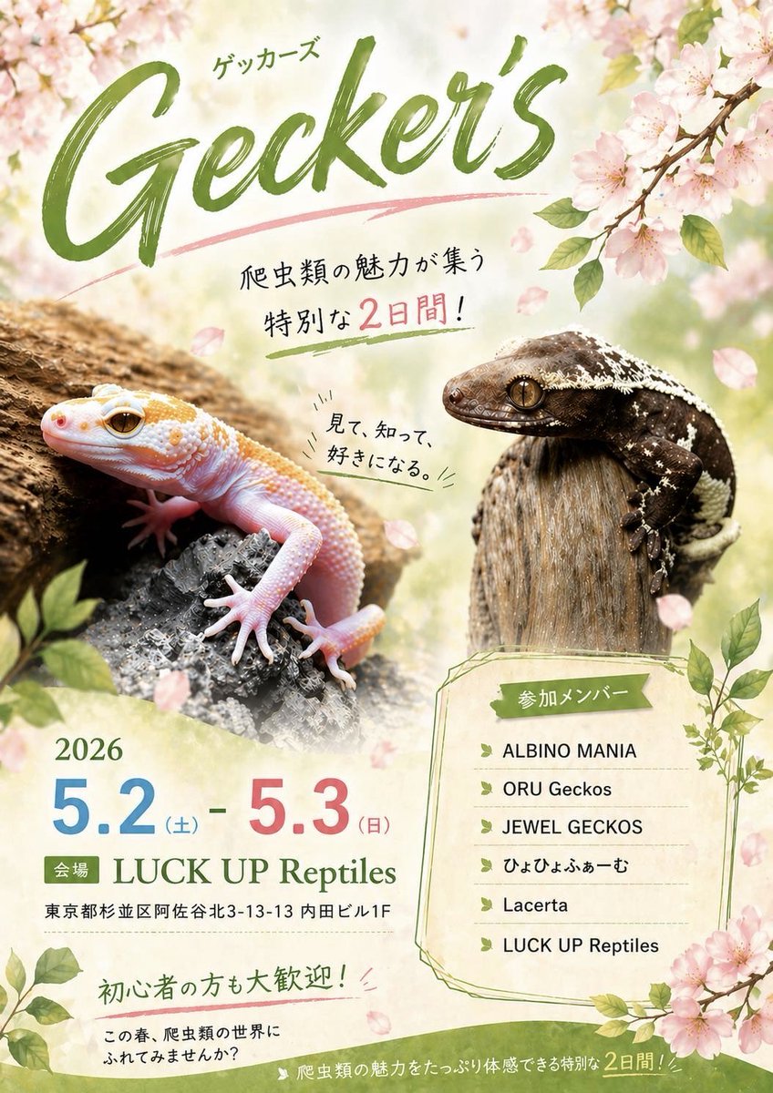 LUCKUP_yosshi's tweet photo. もうすぐGW‼️
ブリーダーコラボイベント開催🙋‍♀️
両日12:00〜18:00予定です✨️
ALBINO MANIA @albino_mania 
ORU Geckos @oru_geckos 
JEWEL GECKOS @jewel_geckos 
ひょひょふぁーむ @hyohyofarm 
Lacerta @Lacerta_tokyo 
#レオパードゲッコー  #ニシアフリカトカゲモドキ  #クレステッドゲッコー https://t.co/V2egDREzYN