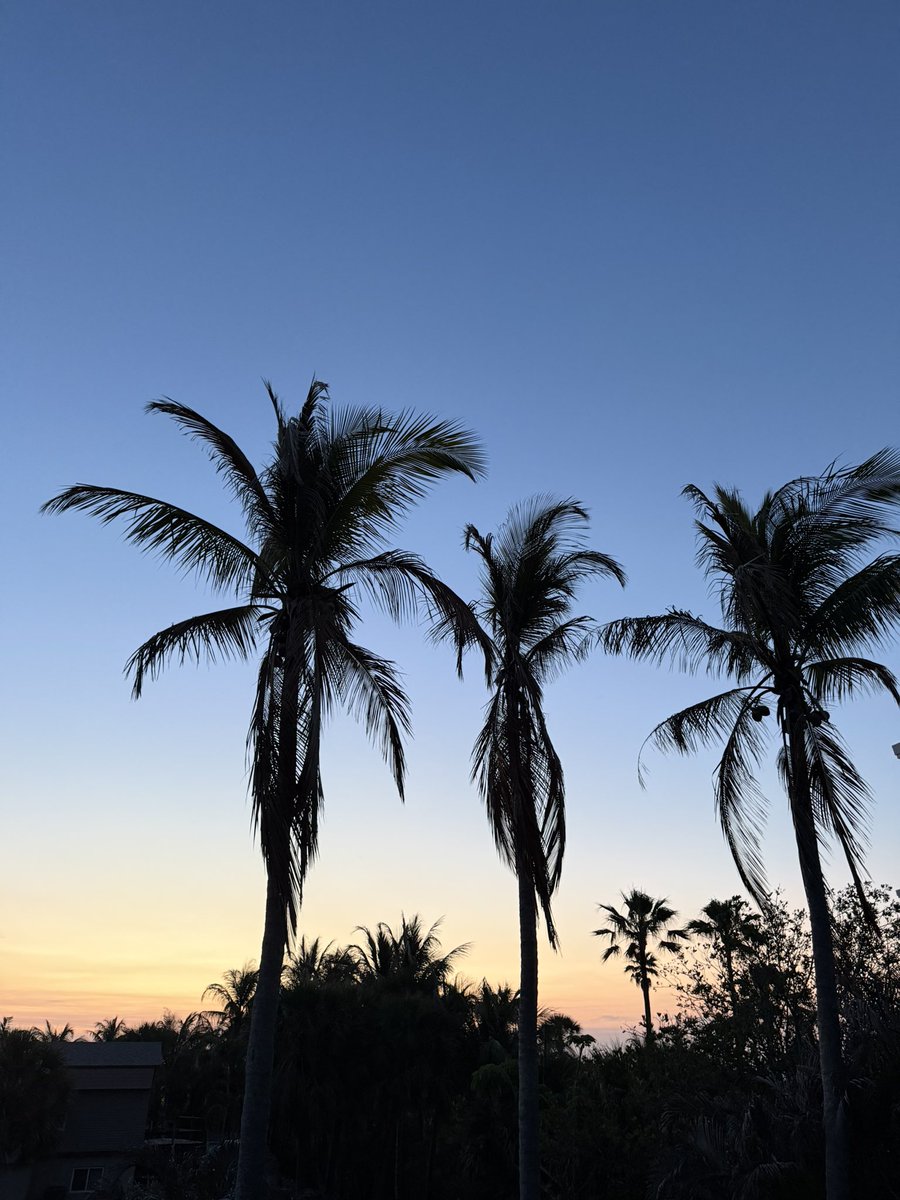 Claudita  🟦 🎗️ tweet media