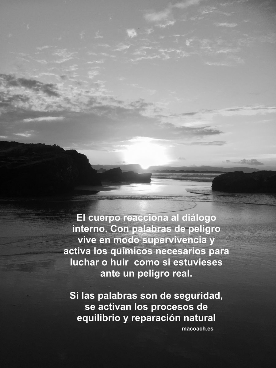 InfoMacoach's tweet photo. Cambia tu diálogo interno  #Macoach #ansiedad https://t.co/RuCa6MATSc