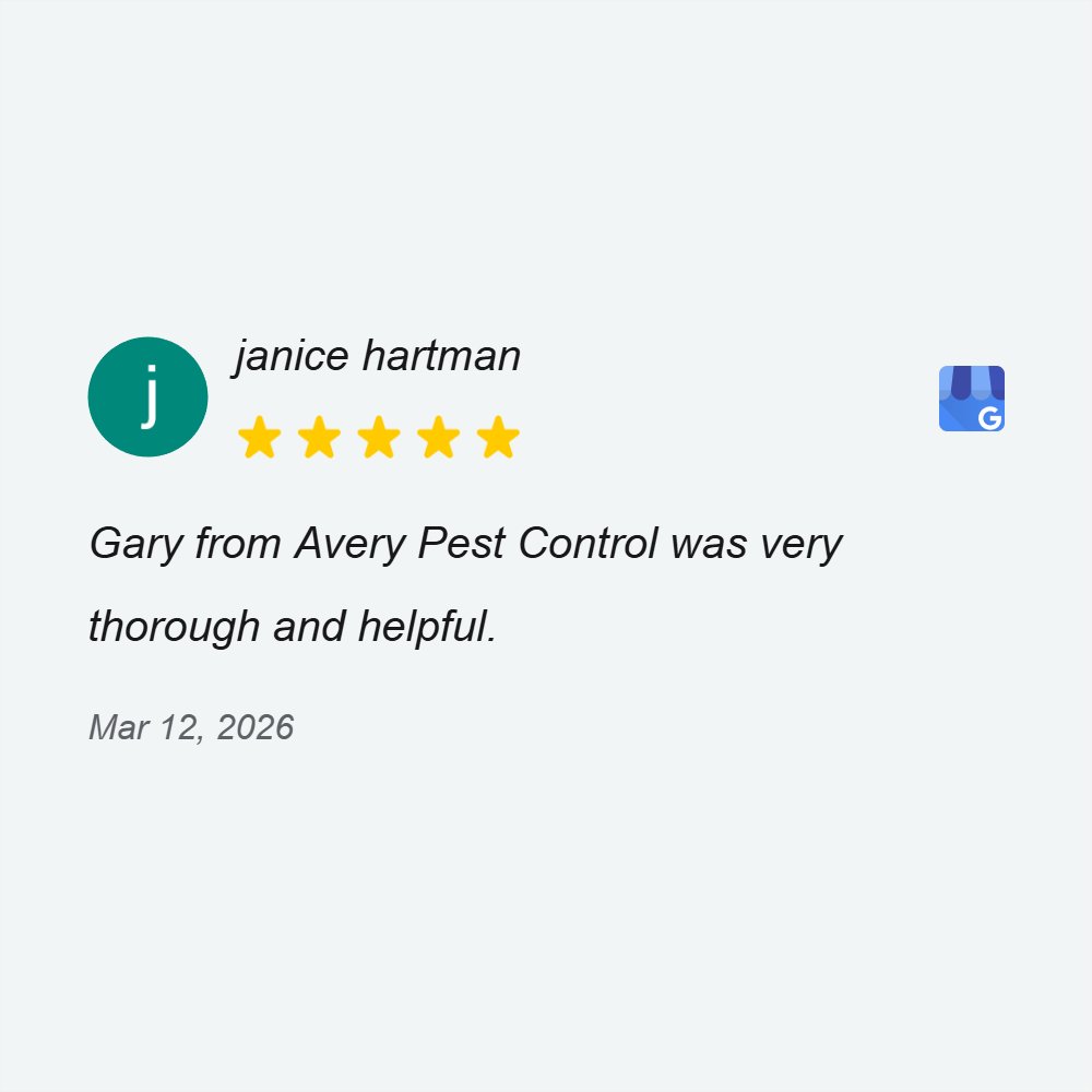 aierypest's tweet photo. Sharing a wonderful review we received. We always appreciate feedback on our service, it helps us strive for excellence. https://t.co/CpKnYjIIbH