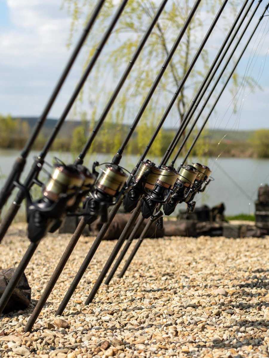 omcfishinglife's tweet photo. Go on then… 👀 Tag a mate who uses too many rods…👇
🖤 Black Pearl Rods
💛 Black Pearl Reels
🪩 Dancefloor Monofilament Mainline
#carpfishing #fishingrods #fishingreels #onemorecast #omctackle https://t.co/kadOB75Uoi