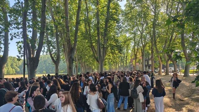 TangledLA's tweet photo. Thousands of people are currently in line at the open casting call for extras in the live-action adaptation of ‘Tangled’ in Girona, Spain. https://t.co/uomlnMKYtY
