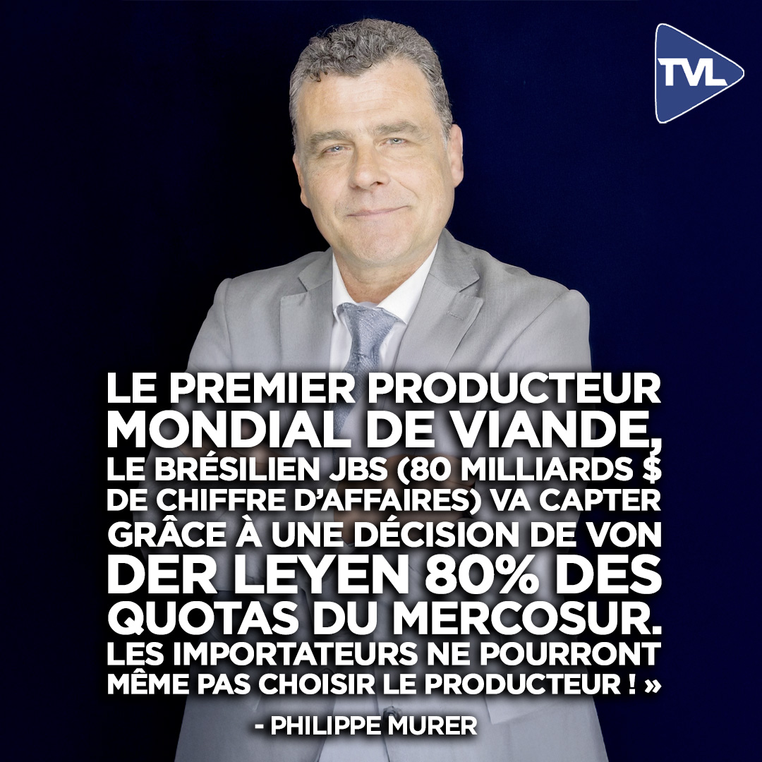 TVL tweet media