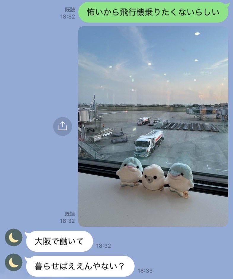 たらこ tweet media