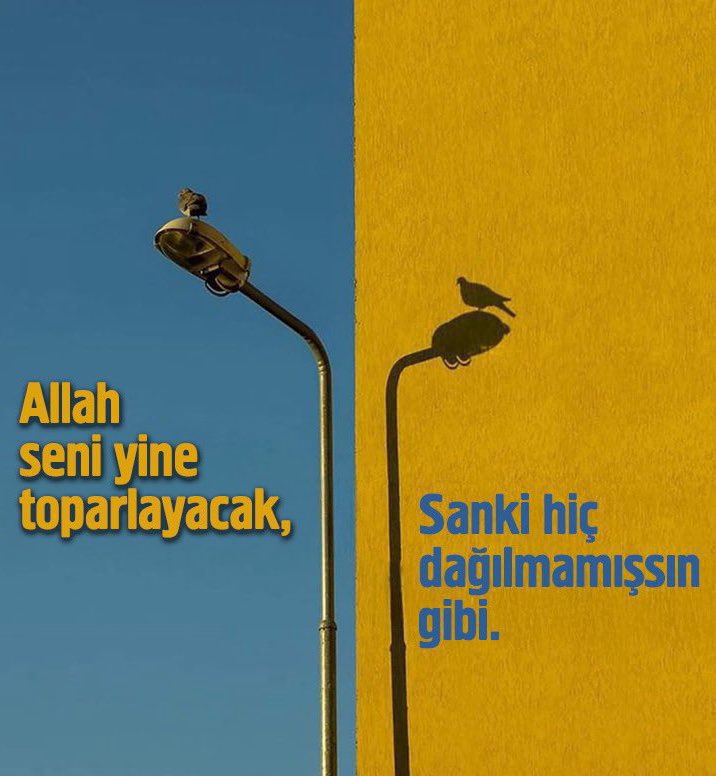 Allah'a güven..
