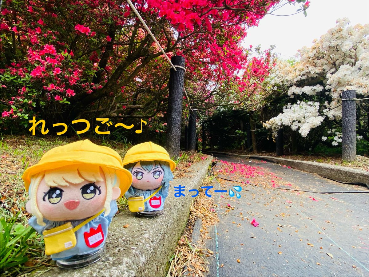 Q太郎-てまこと幼稚園- tweet media