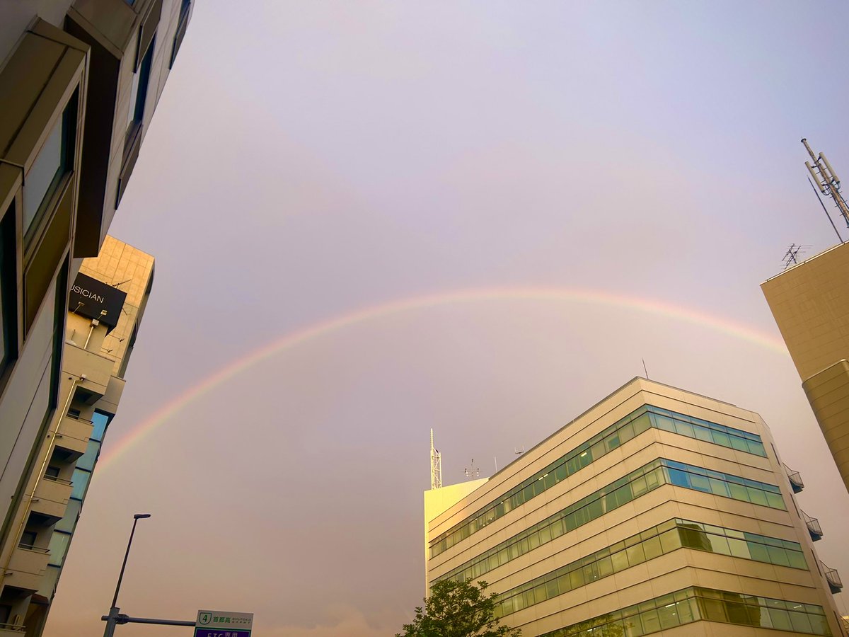 本村玲奈 tweet media