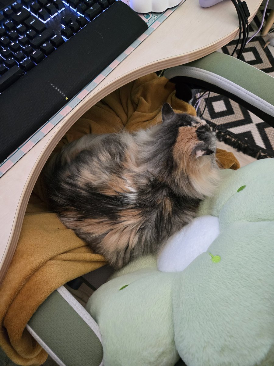 Hedikka's tweet photo. Elle est si bien... j'ai pas envie de la déranger.... meme si je veux recup mes invo sur hsr https://t.co/G87pI4HmAk