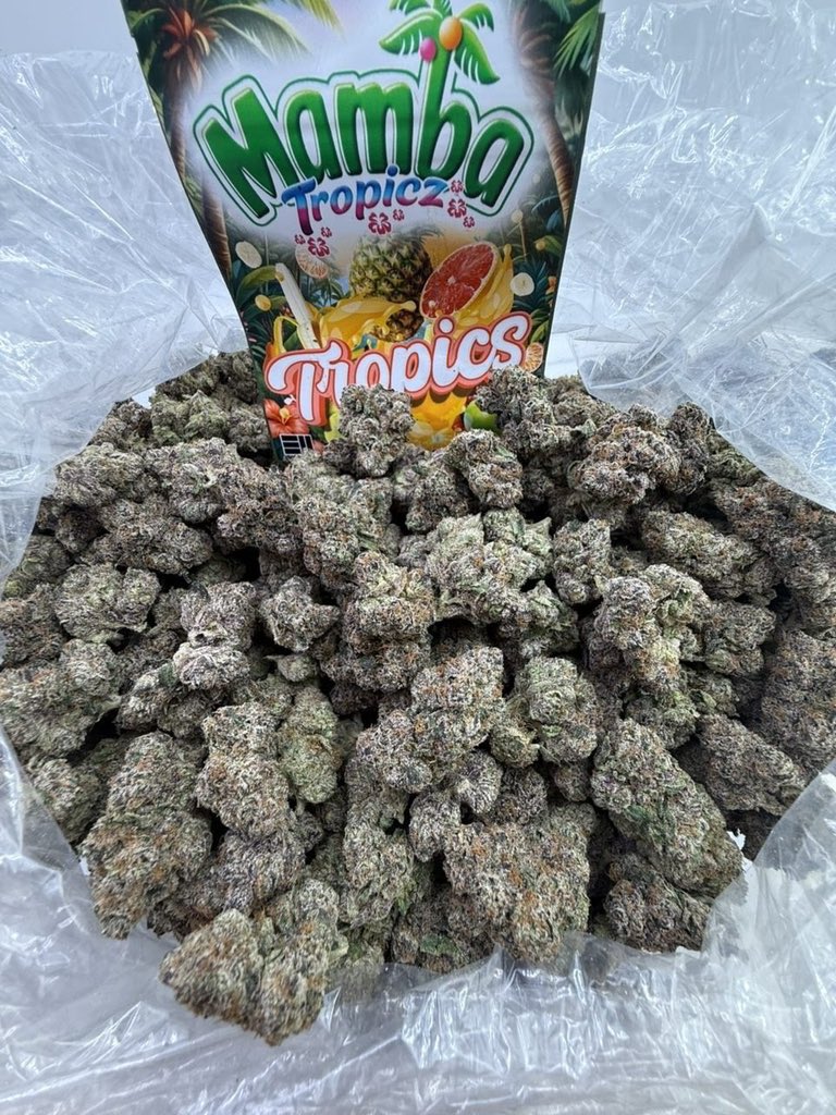 Dallas Plug (@DallasPluggj1r) / Posts / X